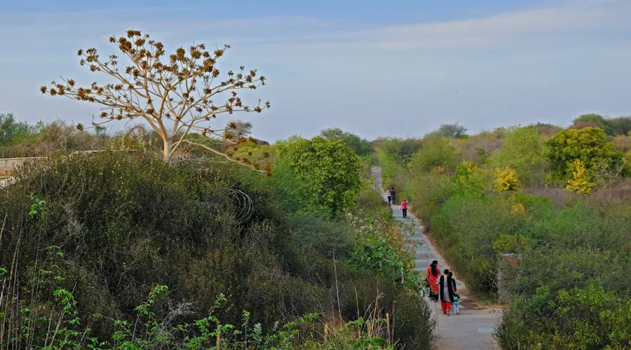 Aravali Biodiversity Park